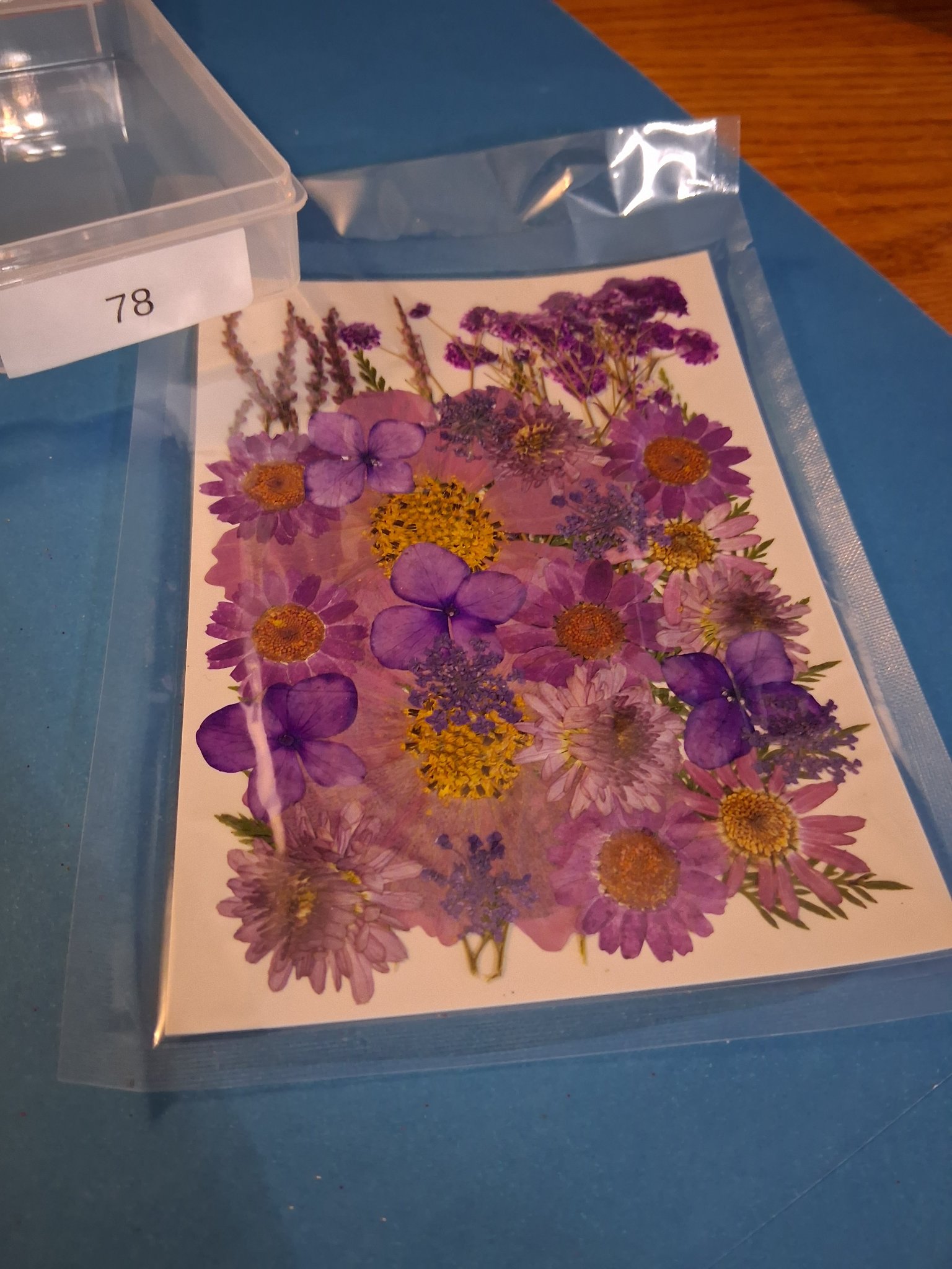Our Materials — 78D Pressed Flowers (Pink Daisies)